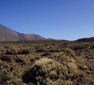 Nationalpark El Teide