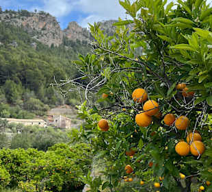Wandern Soller