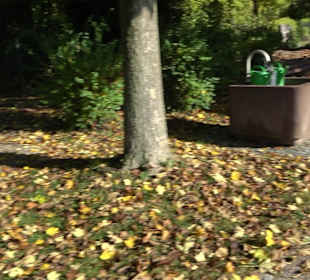 Friedhof Thalfingen