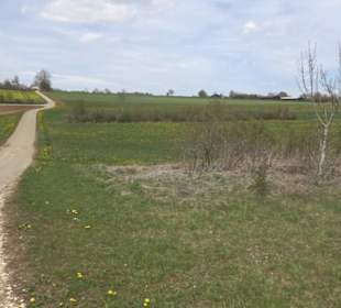 Vulkankrater-Rundweg Apfelstetten