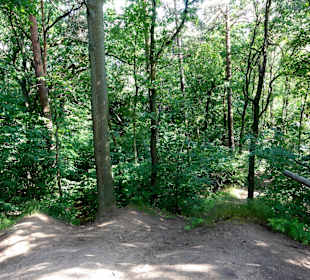 Spaziergang durch den Stadtwald Verden