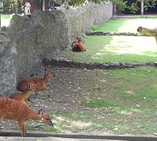 Zoo Warszawa