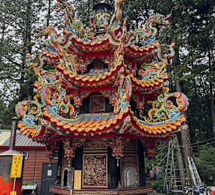 Alishan National Forest