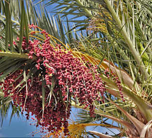 Impressionen vom Jardin des Plantes