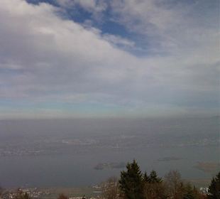 Blick auf den Zürichsee