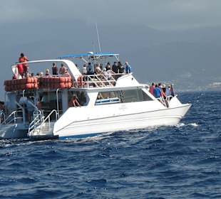 Fahrt zum Champagner-Riff / Dominica