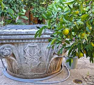 Brunnen im Dominikuskloster