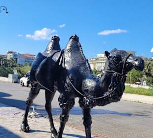 Stadtrundgang Evrenseki 