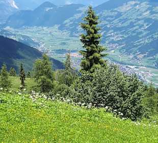 Wandern Kaltenbach