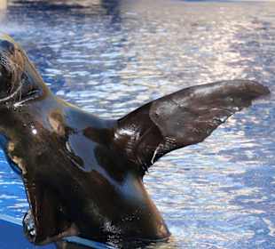 Zapraszam do oazis park