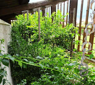 Die Rückseite des Fischereimuseums