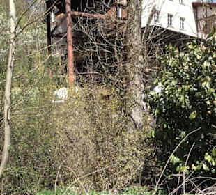 Seitenbachmühle
