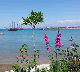 Ausblick Side Zentrum