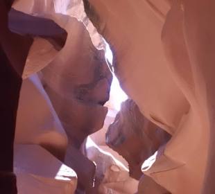 Fantasievolle Skulpturen an den Wänden