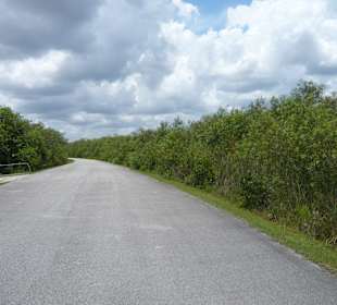 Trail zum Aussichtsturm