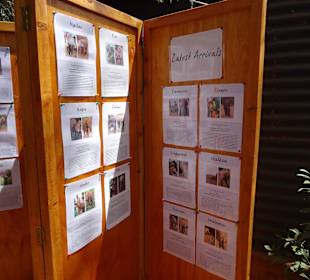 Jeder Eefant wird vorgestellt