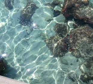 Cala Millor