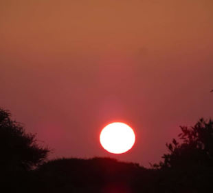 Sonnenuntergang auf Safari