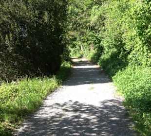 Kurpark Bad Niedernau