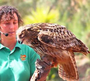 Tiere im Oasis Park Fuerteventura