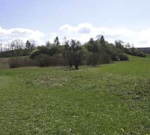 Sport- und Freizeitpark Markwasen