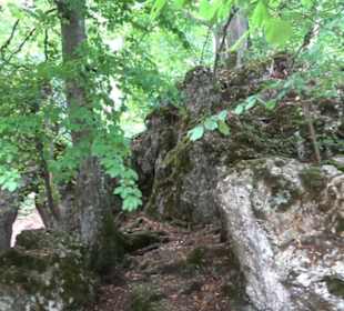 Hochgeträumt Premiumwanderung
