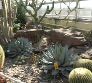 Gewächshäuser Botanischer Garten