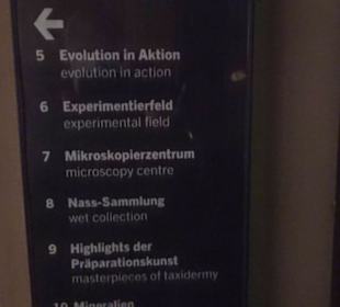 Museum für Naturkunde