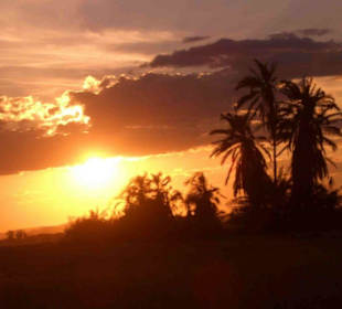 Sonnenuntergang im Amboseli