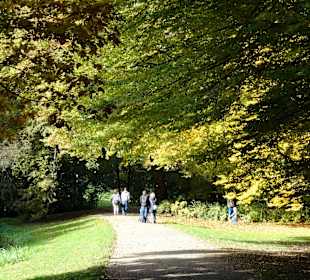 Herbstspaziergang durch den Bürgerpark Bremen