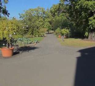 Botanischer Garten