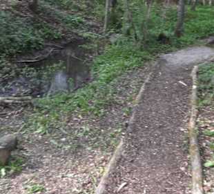 Barfußpfad Firstwald