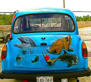 Curacao Sea-Aquarium