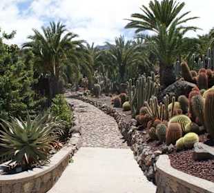 Kakteenpark