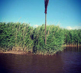 Bootstour auf der Oste