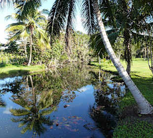 Krokodilfarm