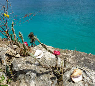 Christoffelpark: Pause mit Blick auf's Meer