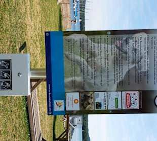 Info für Hundebesitzer