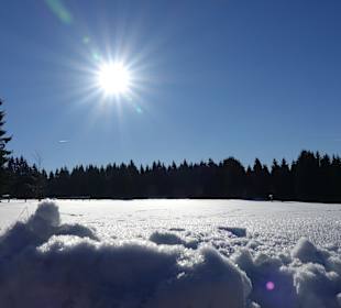 Wandern Neuhaus am Rennweg