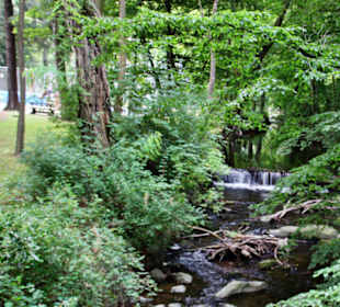 Kletterpark Thale