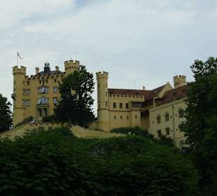 Blick auf Hohenschwangau