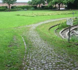 Baumlehrpfad Glacis Park