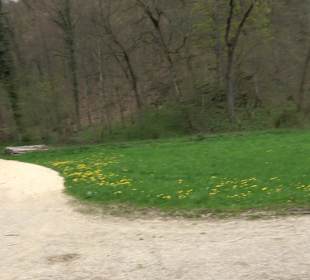 Eiszeitpfad - Burgfelsenpfad