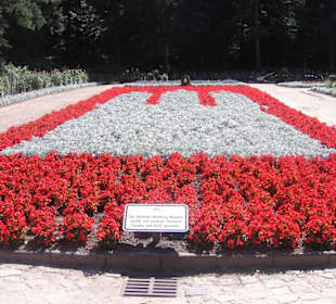 Das blumige Hamburger Wappen aus Dahlien