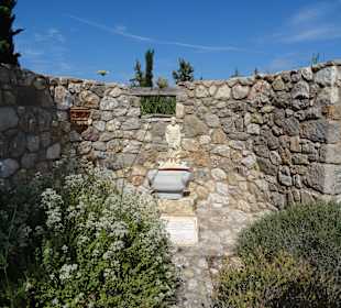 Hippocrates Garden