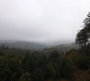 Wandern Friedrichroda