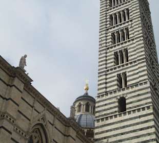 Katedra Siena