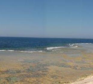 Panaramabild Coraya Bay