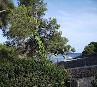 Bucht von Cala Gran
