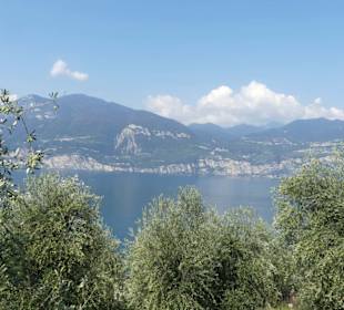 Ausblick